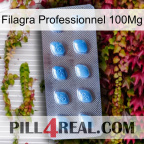 Filagra Professional 100Mg viagra3